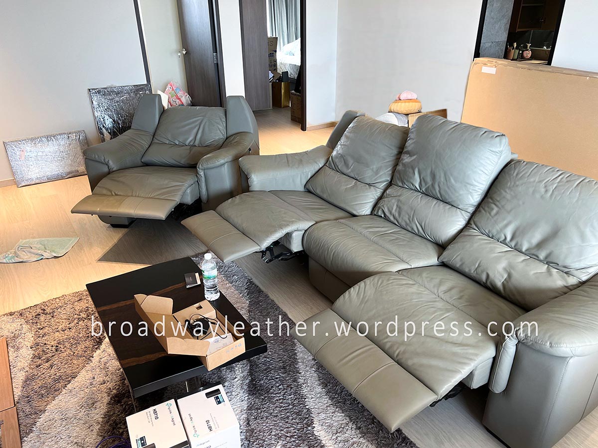 3+1 seater leather sofa cleaning service Singapore